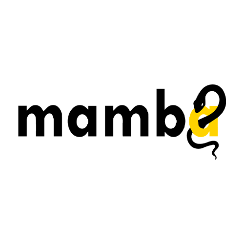 Mamba Digital